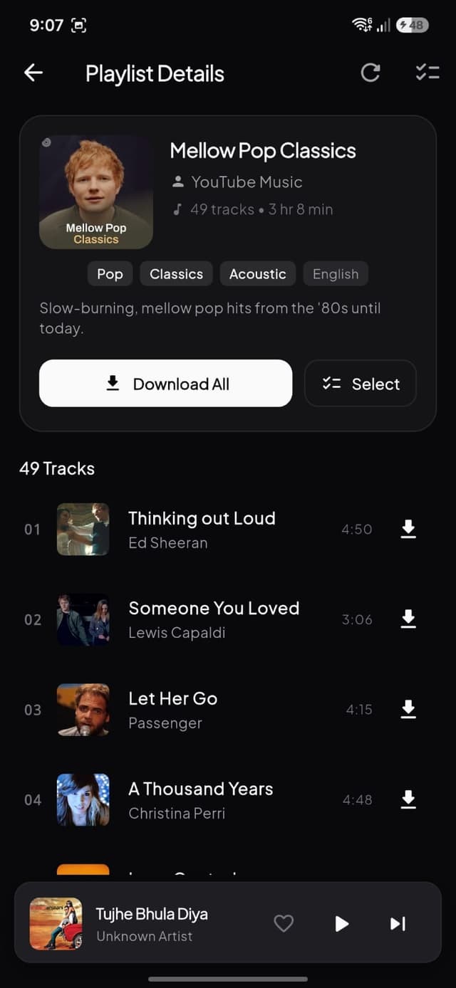 Batch Downloader